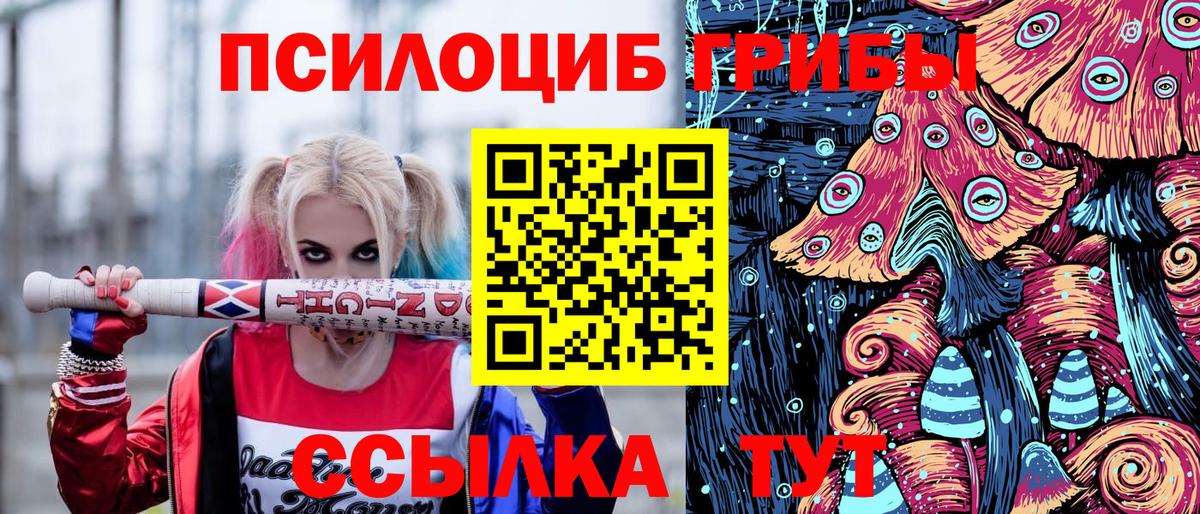 Галлюциногенные грибы GOLDEN TEACHER  Вход с VPN  Псилоцибиновые грибы ЛСД  Братск 