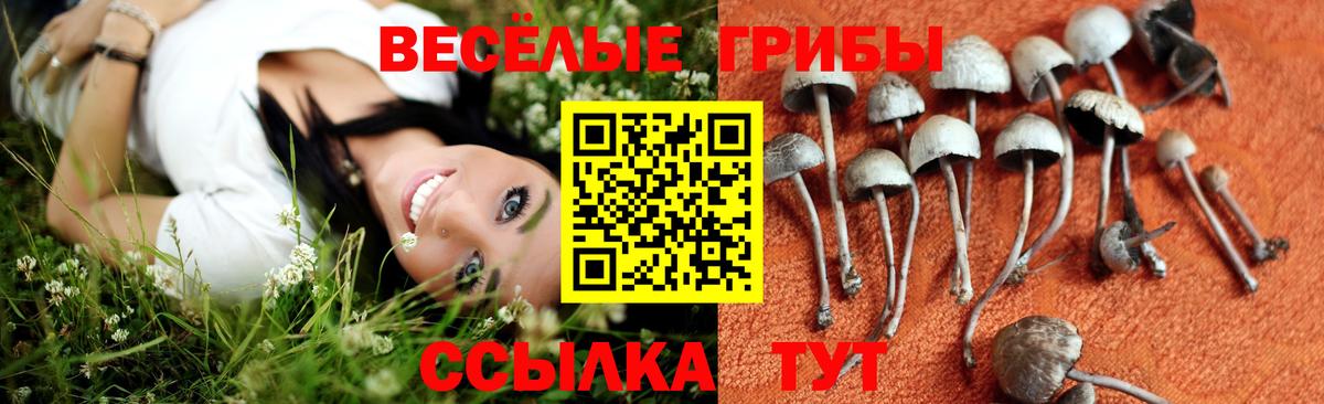 Псилоцибиновые грибы MAGIC MUSHROOMS Братск